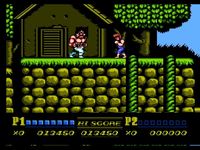 Double Dragon 2 - The Revenge sur Nintendo Nes